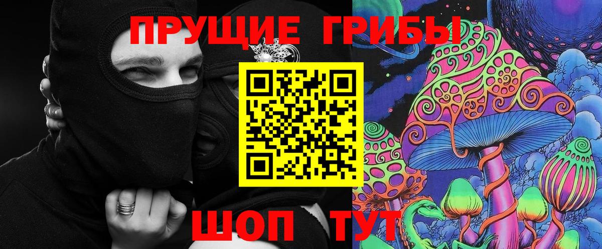 Галлюциногенные грибы Psilocybe Мелеуз